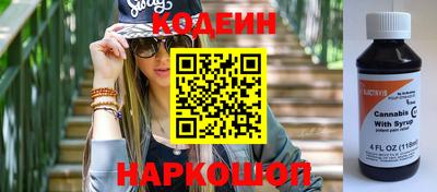 МДПВ Кингисепп