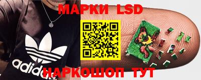 МДПВ Кингисепп