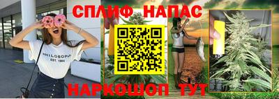 МДПВ Кимры
