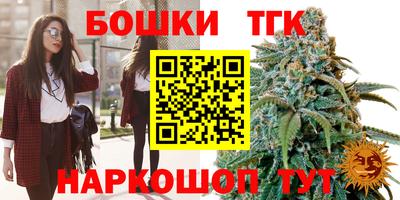 МДПВ Кингисепп