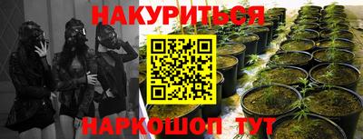 МДПВ Кингисепп