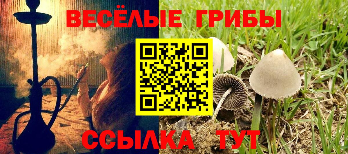 Галлюциногенные грибы MAGIC MUSHROOMS Котовск