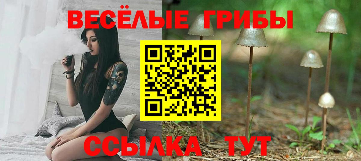 купить наркотик  Вход с VPN  Котовск  Псилоцибиновые грибы мухоморы 